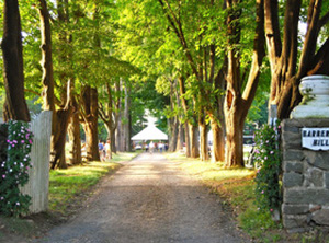 Barberry Hill Farm